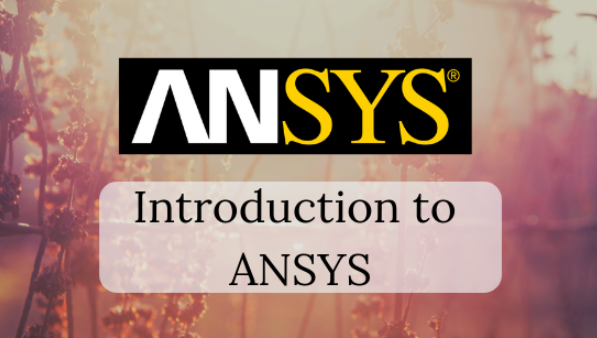 ANSYS Fluent 6