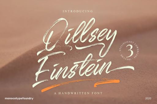 Qillsey Einstein Brush Font